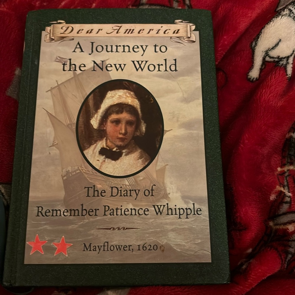 Dear America book